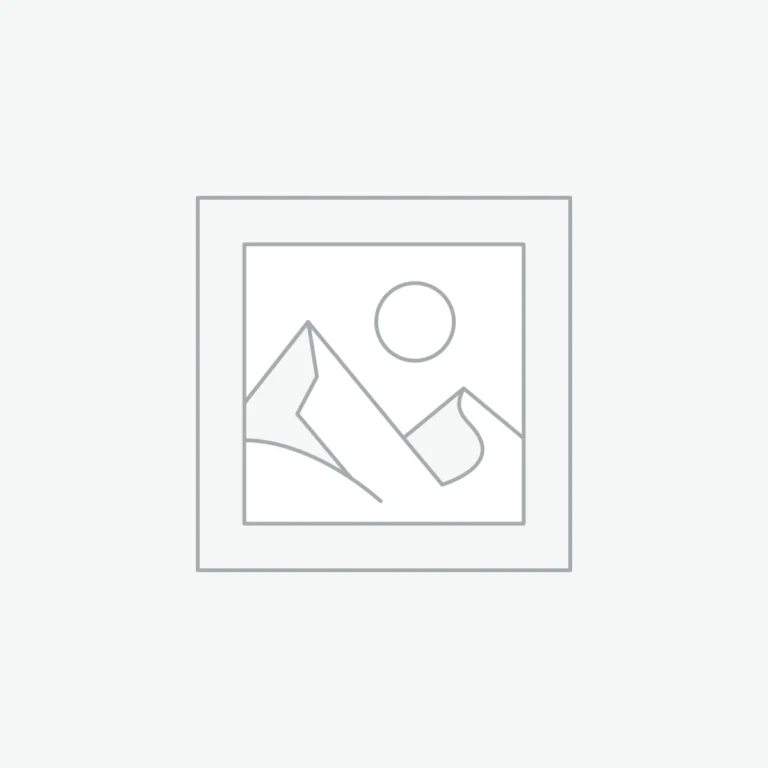 English Translation Service